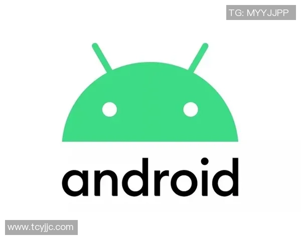 德甲精彩对决里昂逆转本菲卡5-1全场沸腾战术解析